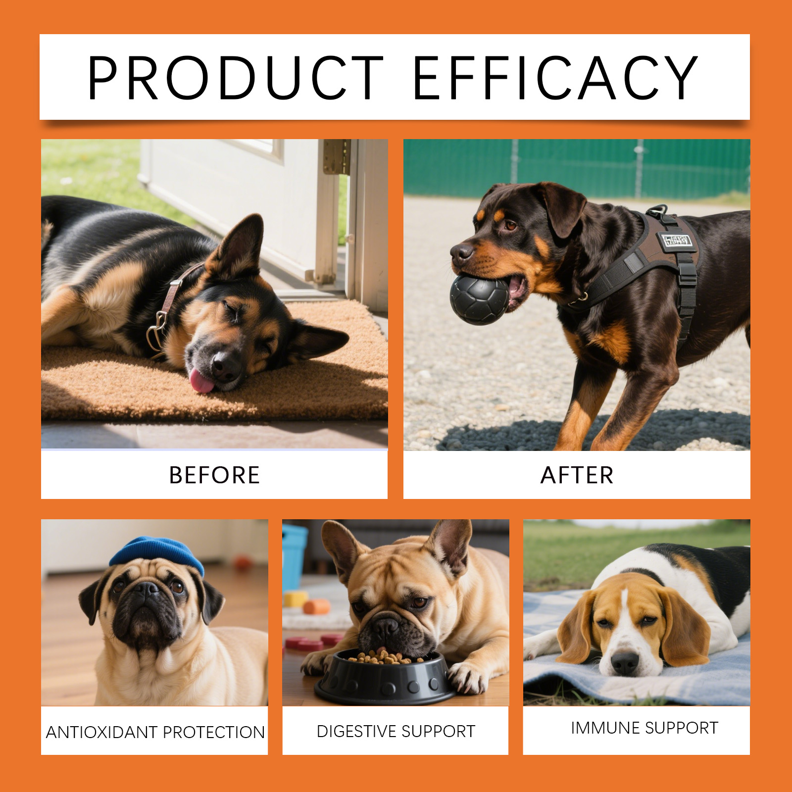 犬用ハーバルドロップス - 究極の心地よさと優しい、ホリステ - Herbal Holistic Wellness のレビューと価格