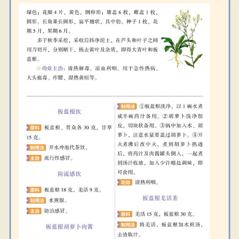 単一のハーブによる中国伝統医学の栄養補給のためのクイックリフ - Herbal Holistic Wellness のレビューと価格