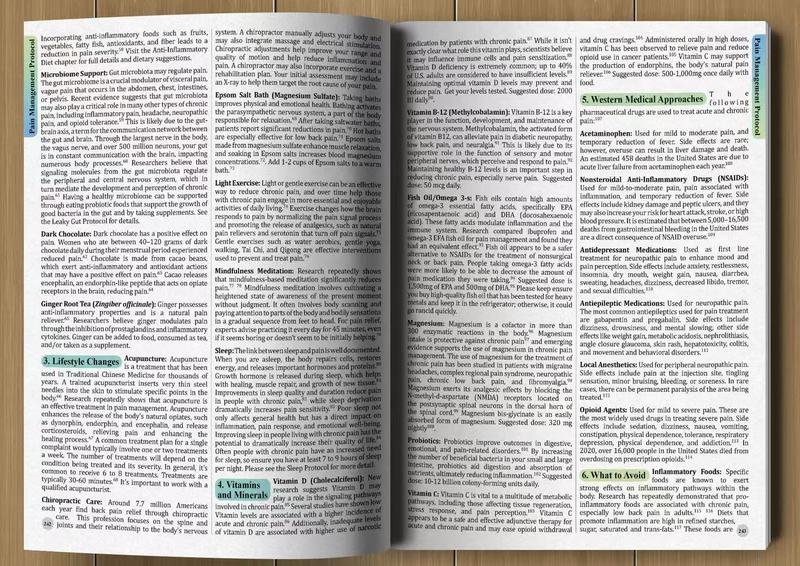 一般的な病気のためのホリスティックな健康ガイド：ハーブ医学書 - Herbal Holistic Wellness のレビューと価格