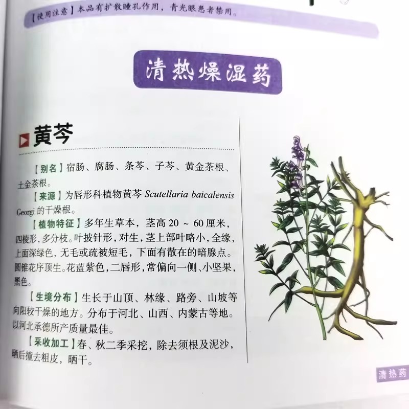 古代ハーバリウムのホリスティック健康ガイドブック：中国漢方薬 - Herbal Holistic Wellness のレビューと価格